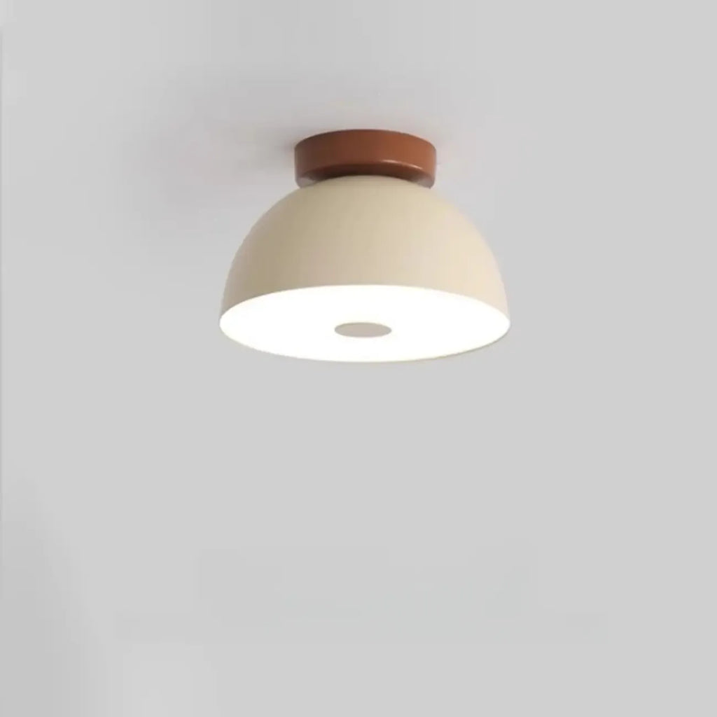 Dimmable Plastic Dome Semi Flush Ceiling Light for Home