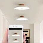 Dimmable Plastic Dome Semi Flush Ceiling Light for Home