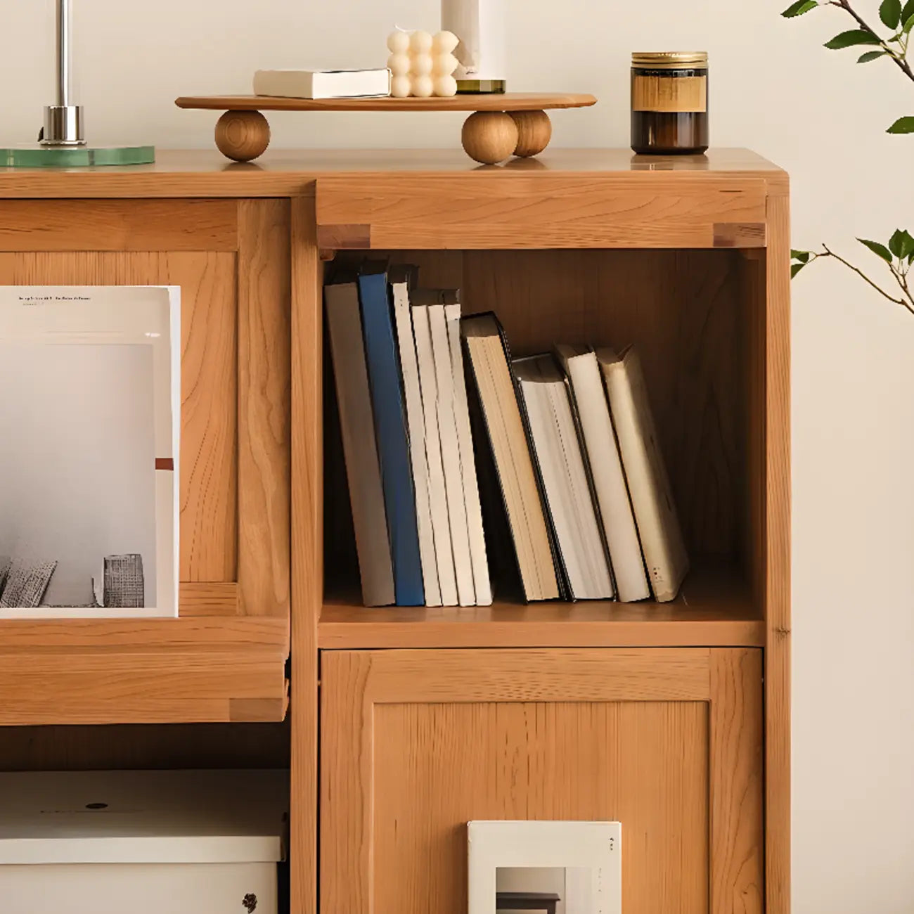 Standard Wooden Book Cabinet for Home, Natural Finish