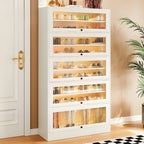 Hallway White Wood Shoe Cabinet with Glass Doors