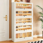 Hallway White Wood Shoe Cabinet with Glass Doors