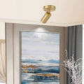 Minimalist Gold Cylinder Semi Flush Mount Adjustable Track Light