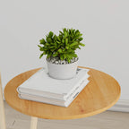 Arc Modern Cream Iron Bowl Floor Lamp with Shelf