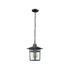 Industrial Black Metal Courtyard Pendant Lights in Adjustable