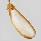 Colorful Agate Stone Circular Ring Branches Chandelier