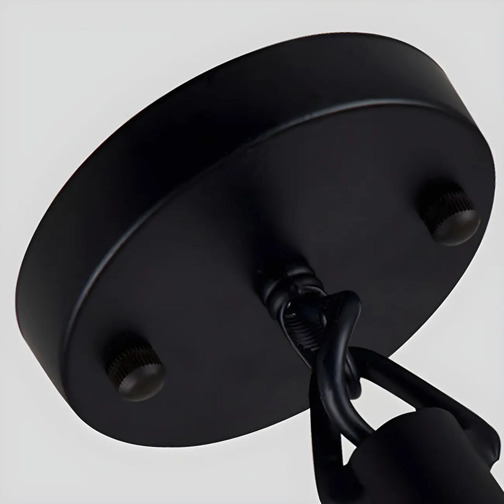 Industrial Rattan Black Metal Hemp Rope Pendant Light