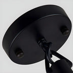 Industrial Rattan Black Metal Hemp Rope Pendant Light