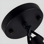 Industrial Rattan Black Metal Hemp Rope Pendant Light